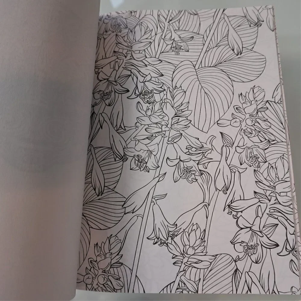 Color Creatives Book Peaceful Patterns Coloring To Relax And Soothe